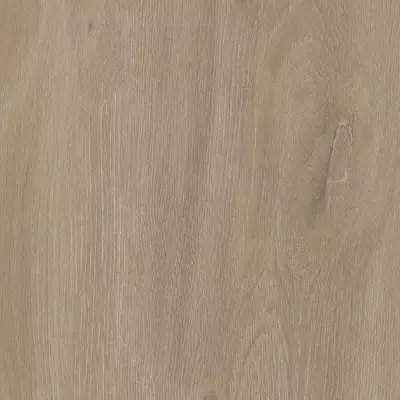 OAK